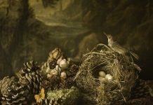Galerie van Blijkshof in Deventer exposeert met ‘In het Bosch’