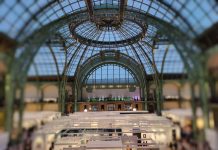 Paris Photo 2025 Preview overview paris photo