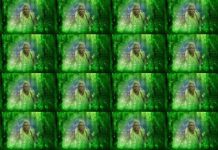 Wereldlab Nijmegen lanceert tentoonstelling LENS