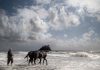 Tentoonstelling Saskia Boelsums – Liebe zur Landschaft