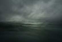 Stephan Vanfleteren – Transcripts of a Sea Stephan Vanfleteren