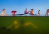 Laatste oproep voor deelname: Sony World Photography Awards 2026 Sony World Photography Awards