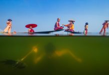 Laatste oproep voor deelname: Sony World Photography Awards 2026 Sony World Photography Awards