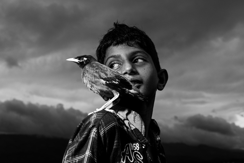 Sony World Photography Awards
