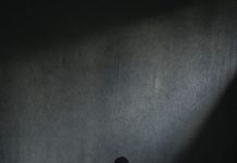 Stephan Vanfleteren in het Mauritshuis