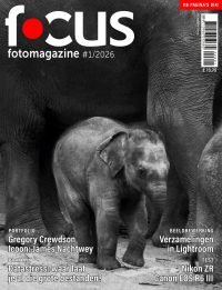 cover Focus 1-2026