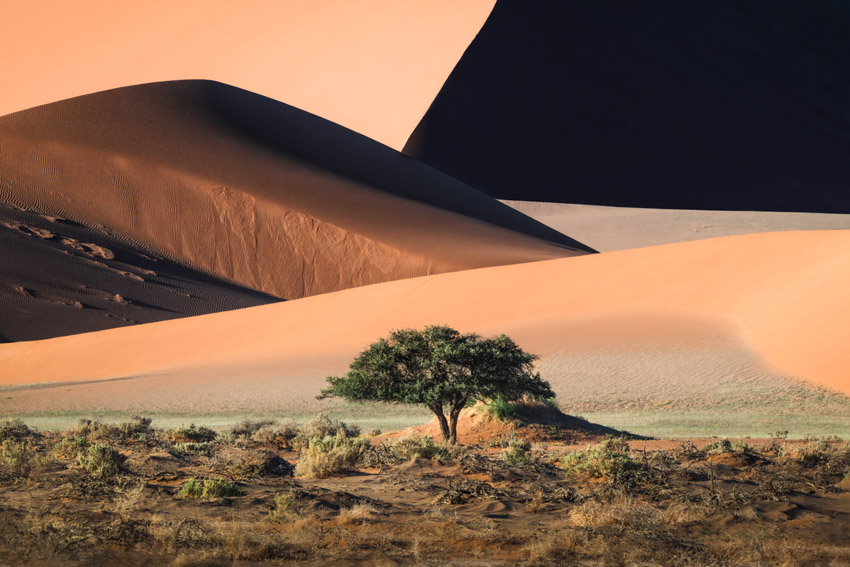 Sony World Photography Awards