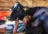 Sony World Photography: categoriewinnaars Open wedstrijd Sony World Photography Awards