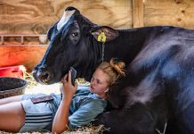 Sony World Photography: categoriewinnaars Open wedstrijd Sony World Photography Awards