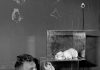 Roger Ballen.! Drawing meets photography te zien in Gent