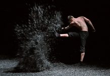 Leo van Velzen: De kracht van het beeld Leo van Velzen