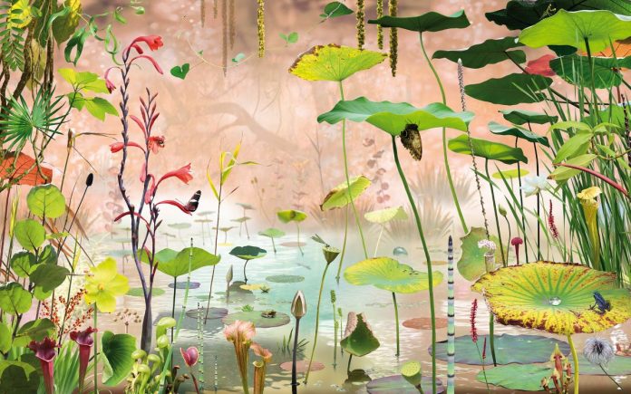 Ruud van Empel
