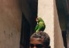 Selection of Dutch Photography ‘26 maakt winnaars bekend