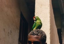 Selection of Dutch Photography ‘26 maakt winnaars bekend