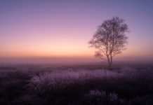 Bob Luijks – Natuurfotograaf met geduld Bob Luijks
