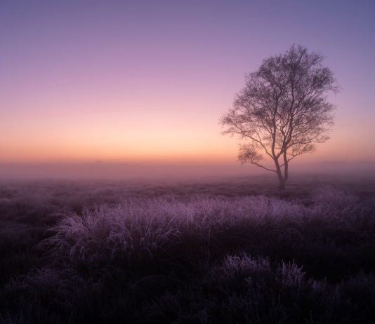 Bob Luijks – Natuurfotograaf met geduld Bob Luijks