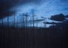 Morvarid K – Standing Still Morvarid K