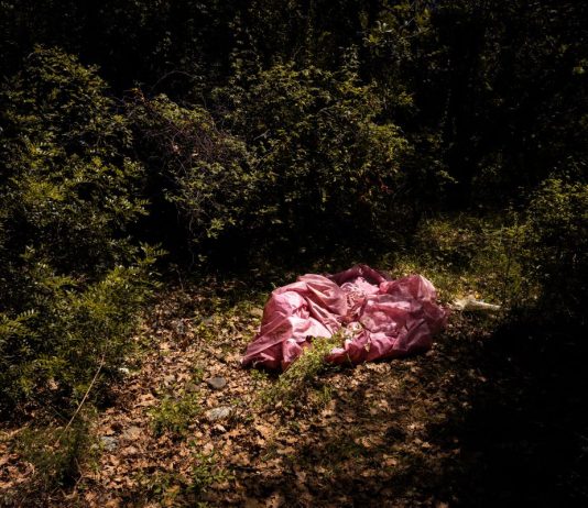 Steffi Reimers – Guilty Grounds Steffi Reimers