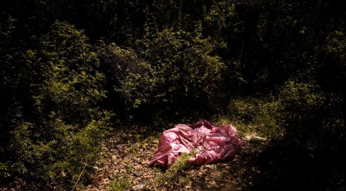 Steffi Reimers – Guilty Grounds Steffi Reimers