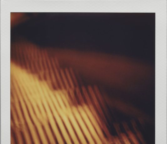 Wilfried de Jong – Polaroidman Wilfried de Jong