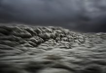 Stephan Vanfleteren – Transcripts of a Sea Transcripts of a Sea