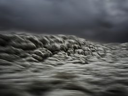 Transcripts of a Sea