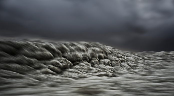 Stephan Vanfleteren – Transcripts of a Sea Transcripts of a Sea