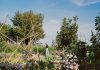 Loek Buter – De Vuurtoren rond