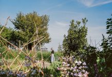 Loek Buter – De Vuurtoren rond