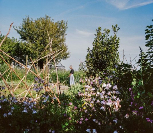 Loek Buter – De Vuurtoren rond