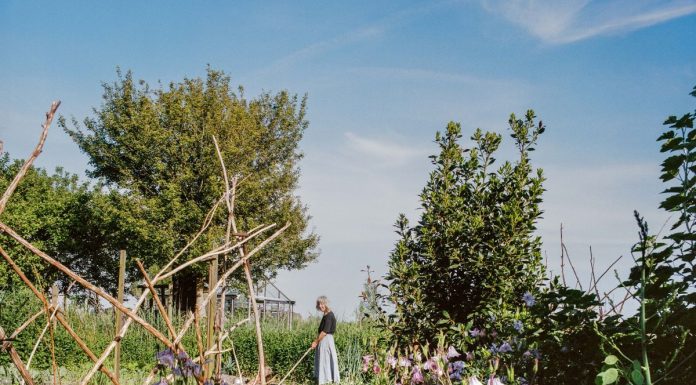 Loek Buter – De Vuurtoren rond