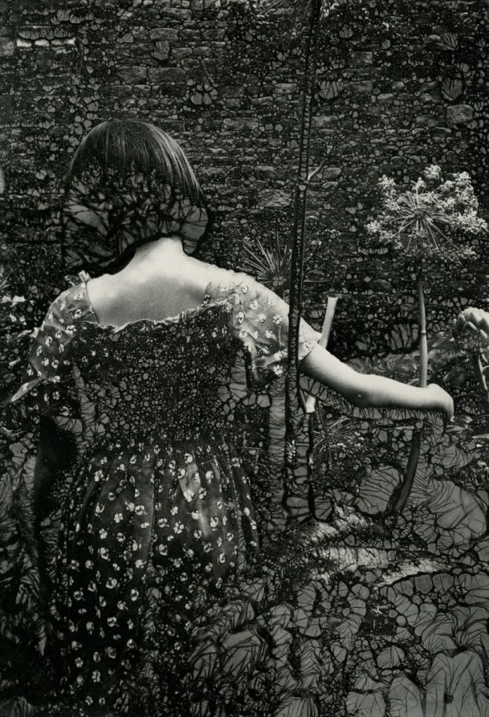 The Feminine Gaze