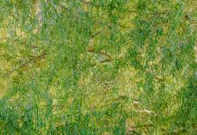 Solotentoonstelling Misha de Ridder – The Given Misha de Ridder
