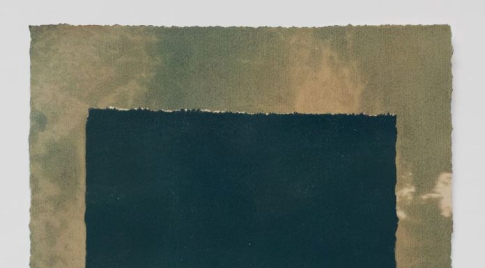 Vivian Ammerlaan – Geduld van het landschap Vivian Ammerlaan
