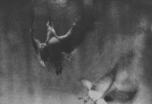 Paulien Dubelaar – To Be Seen